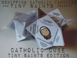 catholic cube tiny saints