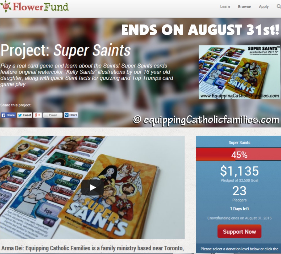 Super Saints Campaign