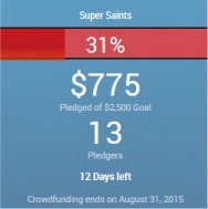 Super Saints fund